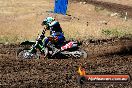 Champions Ride Day MotorX Broadford 23 11 2014 - SH8_0905