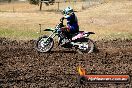Champions Ride Day MotorX Broadford 23 11 2014 - SH8_0907