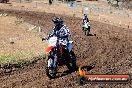 Champions Ride Day MotorX Broadford 23 11 2014 - SH8_0918