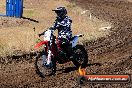 Champions Ride Day MotorX Broadford 23 11 2014 - SH8_0920
