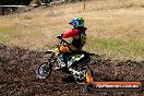 Champions Ride Day MotorX Broadford 23 11 2014 - SH8_0934