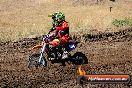 Champions Ride Day MotorX Broadford 23 11 2014 - SH8_0940