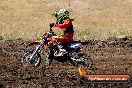 Champions Ride Day MotorX Broadford 23 11 2014 - SH8_0942