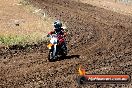 Champions Ride Day MotorX Broadford 23 11 2014 - SH8_0946