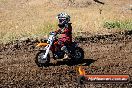 Champions Ride Day MotorX Broadford 23 11 2014 - SH8_0948