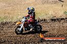 Champions Ride Day MotorX Broadford 23 11 2014 - SH8_0949