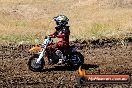 Champions Ride Day MotorX Broadford 23 11 2014 - SH8_0950