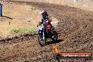 Champions Ride Day MotorX Broadford 23 11 2014 - SH8_0957