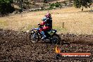 Champions Ride Day MotorX Broadford 23 11 2014 - SH8_0964