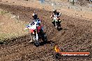 Champions Ride Day MotorX Broadford 23 11 2014 - SH8_0979