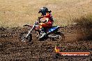 Champions Ride Day MotorX Broadford 23 11 2014 - SH8_0992