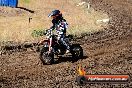 Champions Ride Day MotorX Broadford 23 11 2014 - SH8_0997