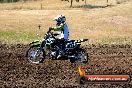 Champions Ride Day MotorX Broadford 23 11 2014 - SH8_1010