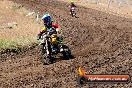Champions Ride Day MotorX Broadford 23 11 2014 - SH8_1014