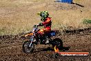 Champions Ride Day MotorX Broadford 23 11 2014 - SH8_1024