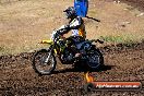 Champions Ride Day MotorX Broadford 23 11 2014 - SH8_1033