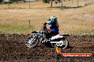 Champions Ride Day MotorX Broadford 23 11 2014 - SH8_1045