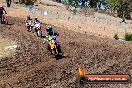 Champions Ride Day MotorX Broadford 23 11 2014 - SH8_1046