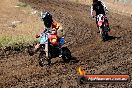 Champions Ride Day MotorX Broadford 23 11 2014 - SH8_1059