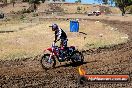 Champions Ride Day MotorX Broadford 23 11 2014 - SH8_1066