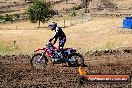 Champions Ride Day MotorX Broadford 23 11 2014 - SH8_1068
