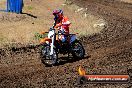 Champions Ride Day MotorX Broadford 23 11 2014 - SH8_1071