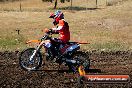 Champions Ride Day MotorX Broadford 23 11 2014 - SH8_1075