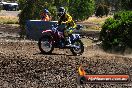 Champions Ride Day MotorX Broadford 23 11 2014 - SH8_1190