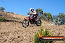 Champions Ride Day MotorX Broadford 23 11 2014 - SH8_1404