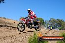 Champions Ride Day MotorX Broadford 23 11 2014 - SH8_1411