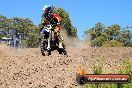 Champions Ride Day MotorX Broadford 23 11 2014 - SH8_1674