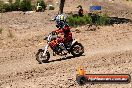 Champions Ride Day MotorX Broadford 23 11 2014 - SH8_1865