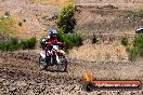 Champions Ride Day MotorX Broadford 23 11 2014 - SH8_1908