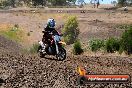 Champions Ride Day MotorX Broadford 23 11 2014 - SH8_1914