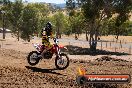 Champions Ride Day MotorX Broadford 23 11 2014 - SH8_1954