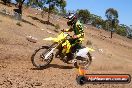 Champions Ride Day MotorX Broadford 23 11 2014 - SH8_2110