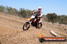 Champions Ride Day MotorX Broadford 23 11 2014 - SH8_2238