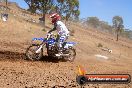 Champions Ride Day MotorX Broadford 23 11 2014 - SH8_2254