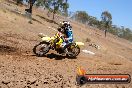 Champions Ride Day MotorX Broadford 23 11 2014 - SH8_2282