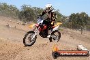Champions Ride Day MotorX Broadford 23 11 2014 - SH8_2324