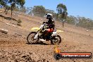 Champions Ride Day MotorX Broadford 23 11 2014 - SH8_2446