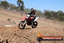 Champions Ride Day MotorX Broadford 23 11 2014 - SH8_2469