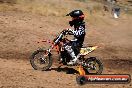 Champions Ride Day MotorX Broadford 23 11 2014 - SH8_2516
