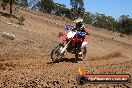 Champions Ride Day MotorX Broadford 23 11 2014 - SH8_2525