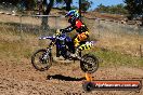 Champions Ride Day MotorX Broadford 23 11 2014 - SH8_2584