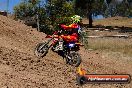 Champions Ride Day MotorX Broadford 23 11 2014 - SH8_2629