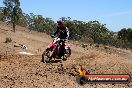 Champions Ride Day MotorX Broadford 23 11 2014 - SH8_2664