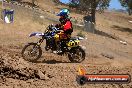 Champions Ride Day MotorX Broadford 23 11 2014 - SH8_2703