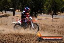 Champions Ride Day MotorX Broadford 23 11 2014 - SH8_2759