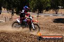 Champions Ride Day MotorX Broadford 23 11 2014 - SH8_2760